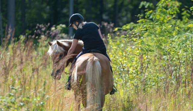 Rider on horseback exploring a scenic forest trail near Branson, Missouri.