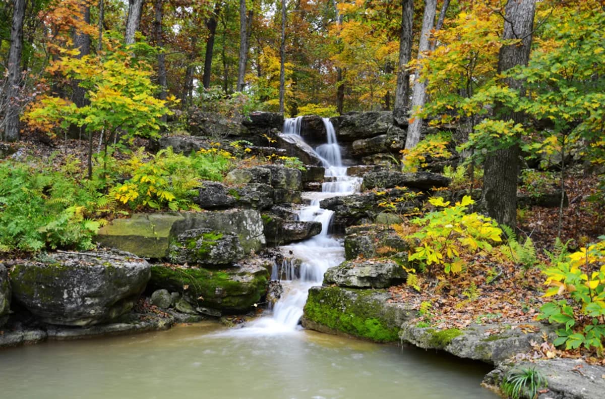 Small cascading waterfall flowing over mossy rocks surrounded by autumn trees in the Ozark forest near Branson.